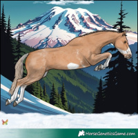 Horse Color:White Spotted Chestnut Sabino Frame 