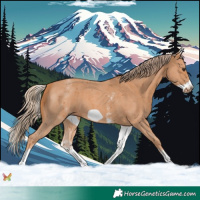 Horse Color:White Spotted Chestnut Sabino Frame 