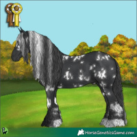 Horse Color:White Spotted Black