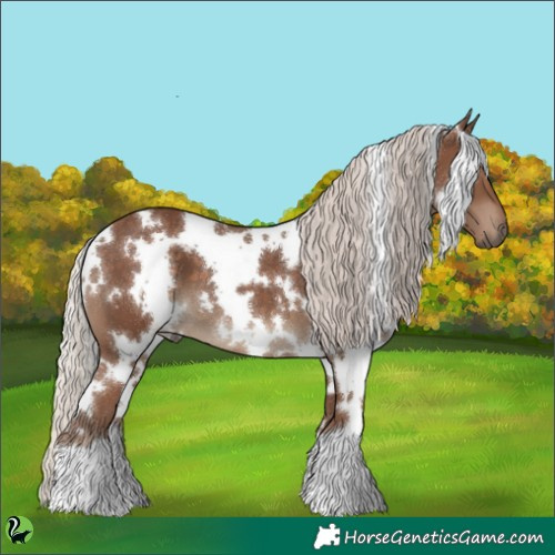 Horse Color:White Spotted Silver Black 