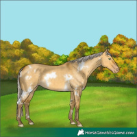 Horse Color:White Spotted Silver Sable Cream Champagne Dun 
