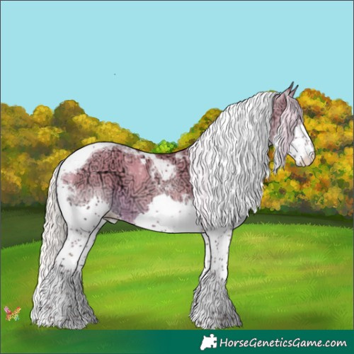 Horse Color:Silver Sable Cream Champagne Ice Dun Splash Tobiano 