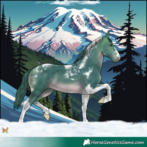 Horse Color:Watercolor Buckskin Tobiano 