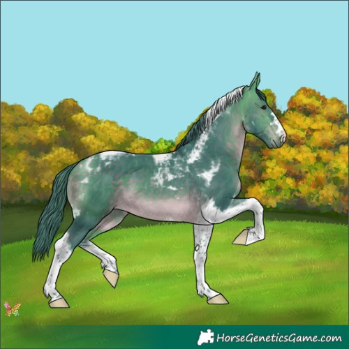 Horse Color:Watercolor Buckskin Tobiano 