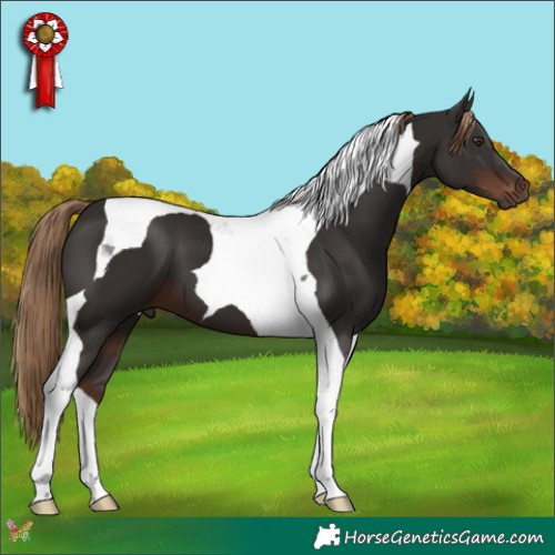 Horse Color:Liver Chestnut Tobiano 