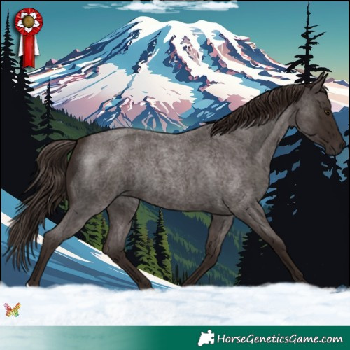 Horse Color:Liver Red Roan Rabicano 