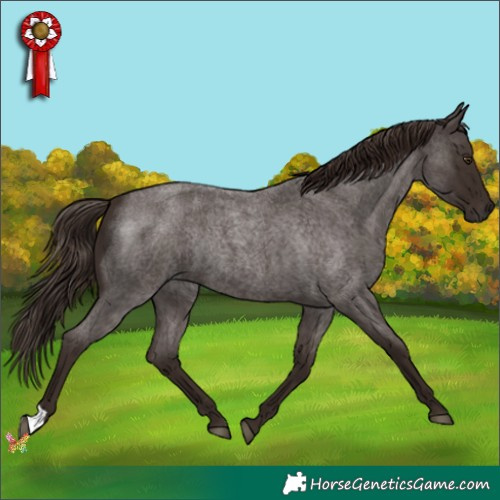 Horse Color:Liver Red Roan Rabicano 