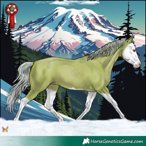 Horse Color:Watercolor Silver Classic Champagne Splash 