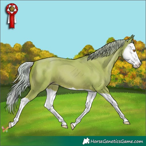 Horse Color:Watercolor Silver Classic Champagne Splash 