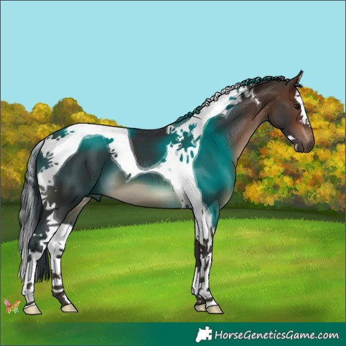 Horse Color:Brown Splash Tobiano 
