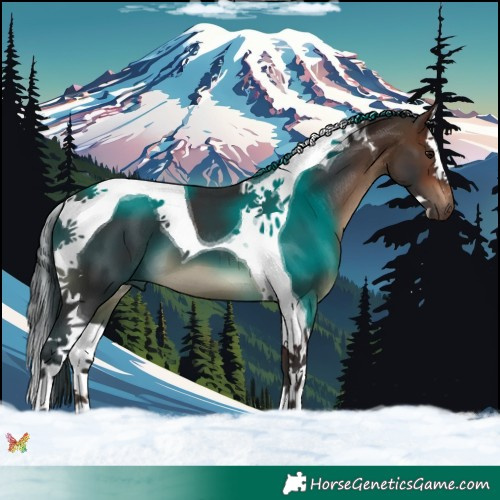 Horse Color:Brown Splash Tobiano 