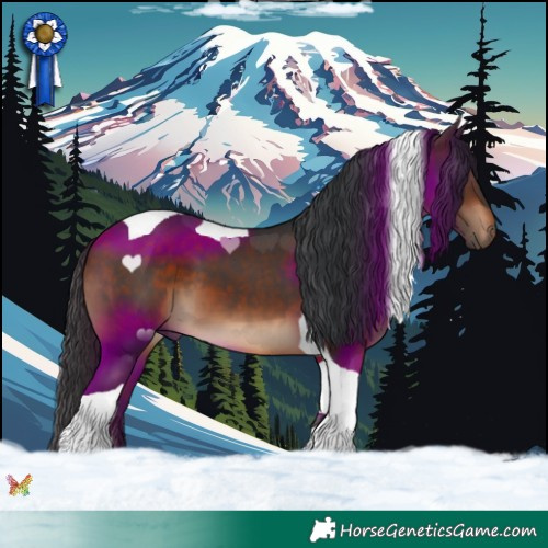 Horse Color:Brown Tobiano 