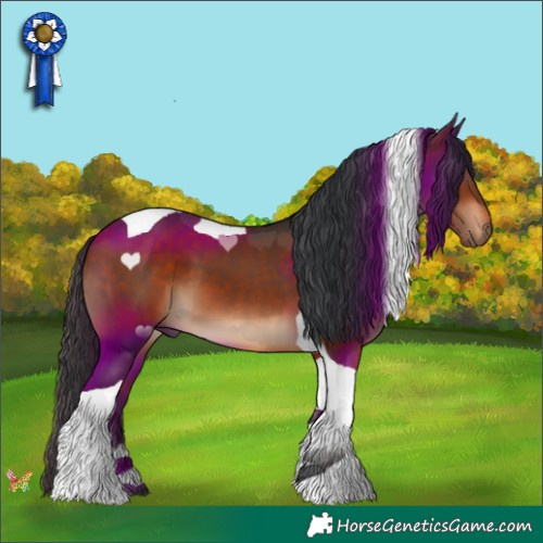 Horse Color:Brown Tobiano 