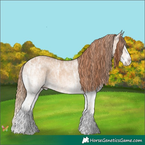 Horse Color:White Spotted Red Dun Ice Splash 