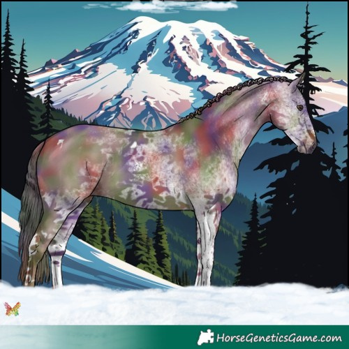 Horse Color:Nacre White Spotted Liver Red Dun Tobiano 