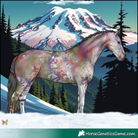 Horse Color:Nacre White Spotted Liver Red Dun Tobiano 