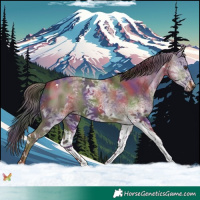 Horse Color:Nacre White Spotted Liver Red Dun Tobiano 