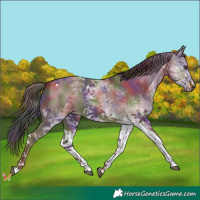 Horse Color:Nacre White Spotted Liver Red Dun Tobiano 