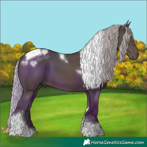 Horse Color:Silver Black Tobiano 
