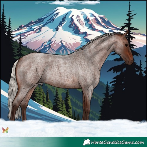 Horse Color:Silver Brown Roan 