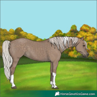 Horse Color:Silver Grullo Tobiano 