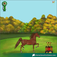 Horse Color:Chestnut 