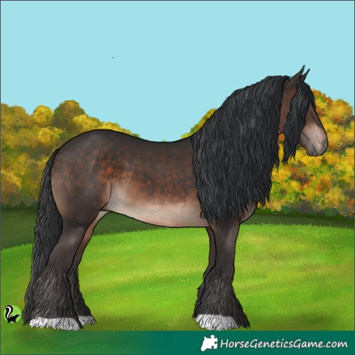 Horse Color:Brown 