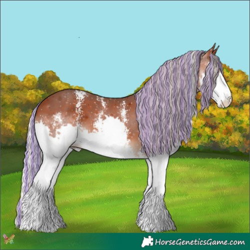 Horse Color:Painted Silver Bay Sabino Splash 