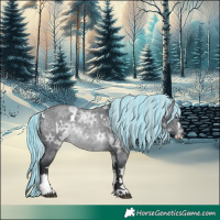 Horse Color:Painted White Spotted Silver Brown Chinchilla Ice Roan Splash Rabicano 