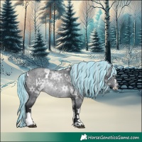 Horse Color:Painted White Spotted Silver Brown Chinchilla Ice Roan Splash Rabicano 