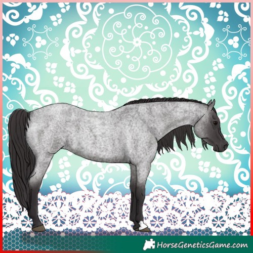 Horse Color:Smoky Blue Roan 
