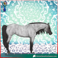 Horse Color:Smoky Blue Roan