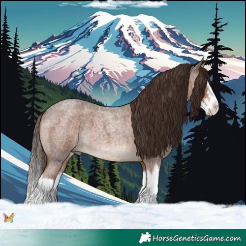 Horse Color:Liver Red Roan Splash 