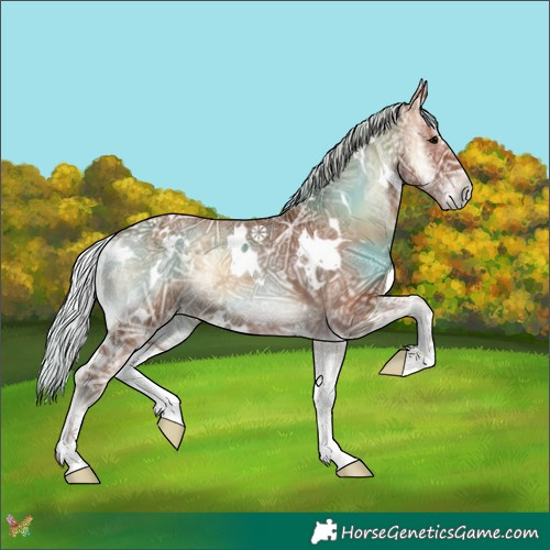 Horse Color:White Spotted Silver Blue Onyx Ice Rabicano 