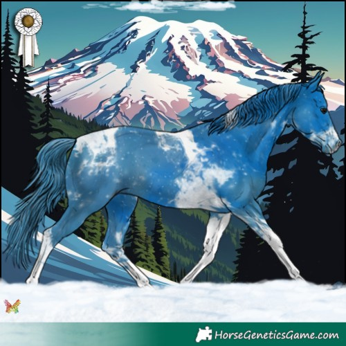 Horse Color:Watercolor Black Tobiano 