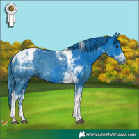 Horse Color:Watercolor Black Tobiano 