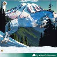 Horse Color:Watercolor Black Tobiano 