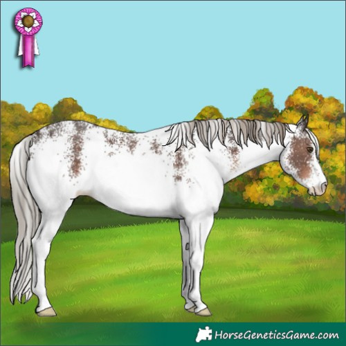 Horse Color:White Spotted Liver Chestnut 