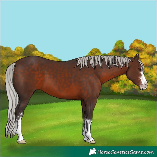 Horse Color:Silver Brown 