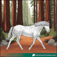 Horse Color:White Spotted Silver Smoky Black Pearl Sabino Appaloosa 