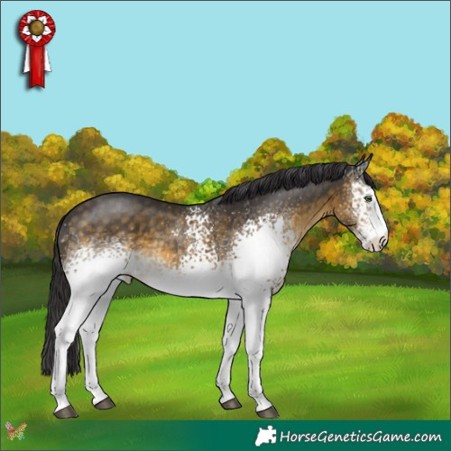 Horse Color:White Spotted Buckskin 