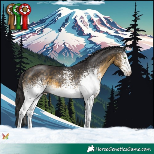 Horse Color:White Spotted Buckskin 