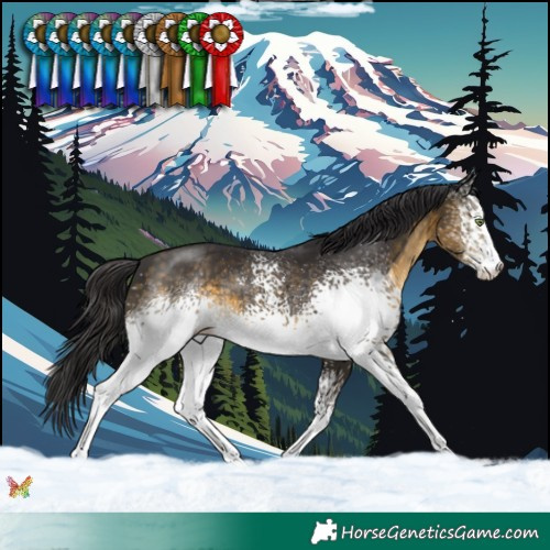Horse Color:White Spotted Buckskin 