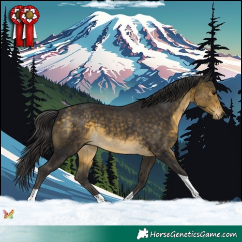 Horse Color:Buckskin Tobiano 