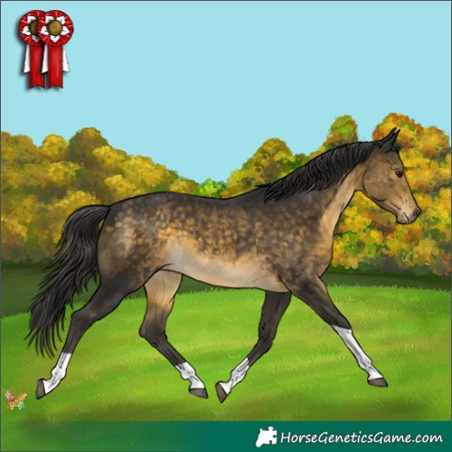 Horse Color:Buckskin Tobiano 