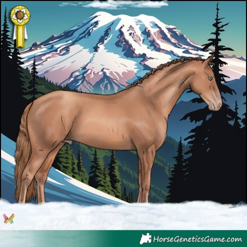 Horse Color:Gold Champagne 