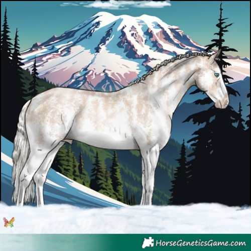 Horse Color:Chocolate Palomino Pearl Sabino 