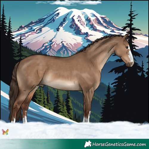Horse Color:Liver Red Dun 