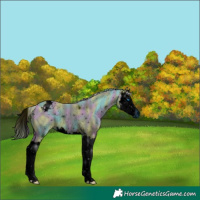 Horse Color:ERROR: UNKNOWN ANOMALY