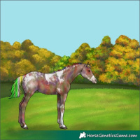 Horse Color:Painted Nacre Chestnut Tobiano 